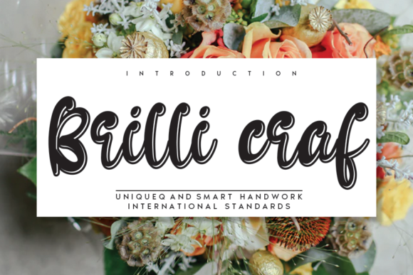 Brilli Craf: A Display Font That Elevates Web Design
