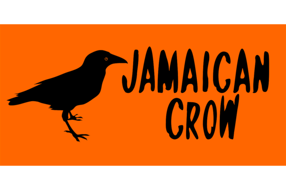 Jamaican Crow: A Font That Transformed My Brand's Look